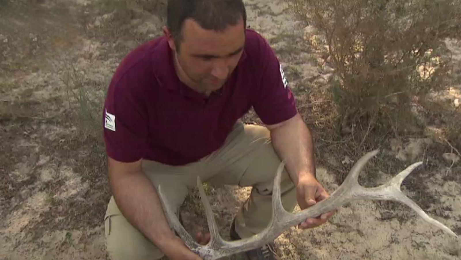 Interpretando las huellas de los habitantes de Doñana