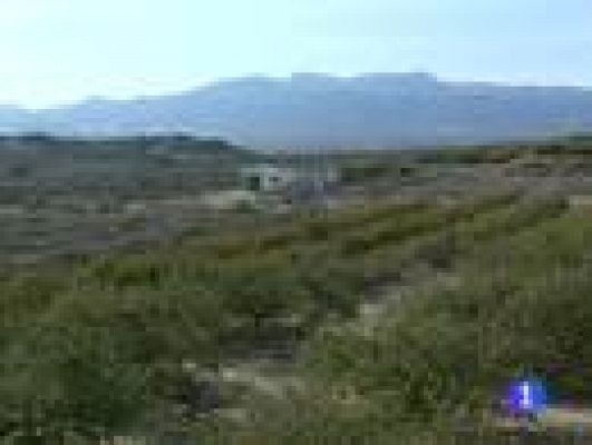 Noticias Murcia - La Región de Murcia en 2'.(31/05/2012).