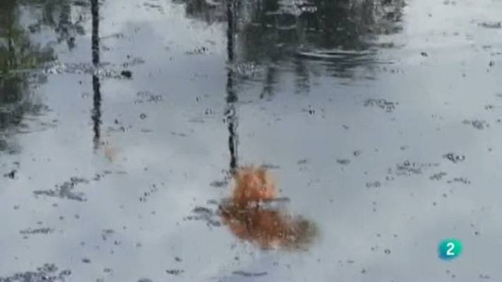 Para todos La 2 - ONG: Entrepueblos