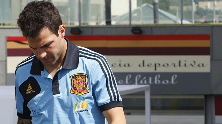 Telediario 1 - Descartada una lesión grave de Cesc