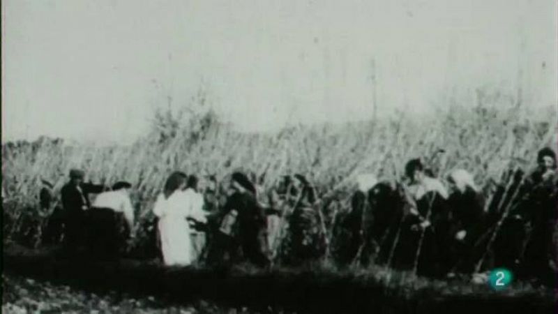 Moments - Diferents aspectes del camp i l'agricultura catalanes.