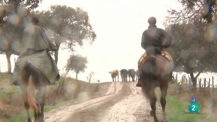 Tendido cero - Tendido Cero - 02/06/12