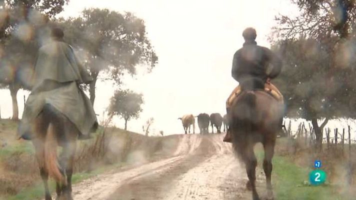 Tendido cero - Tendido Cero - 02/06/12