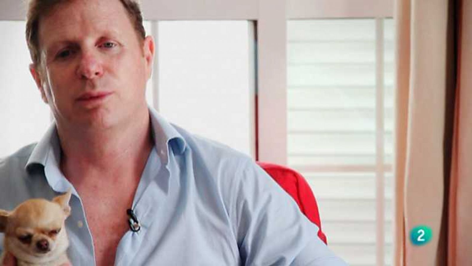 Más que perros y gatos - Capítulo 7 - Ver ahora