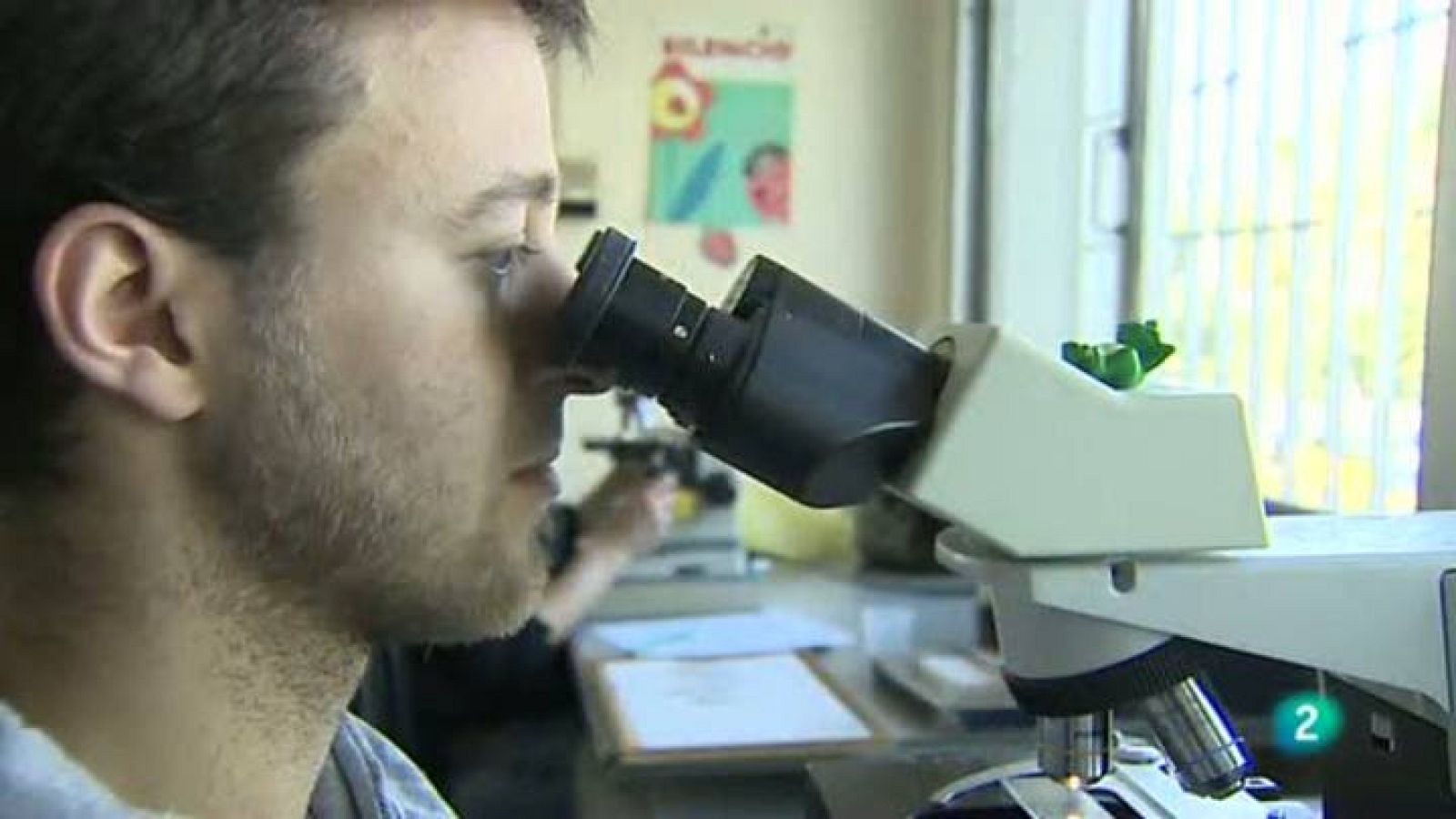 Para Todos La 2 - Debate: El papiloma humano