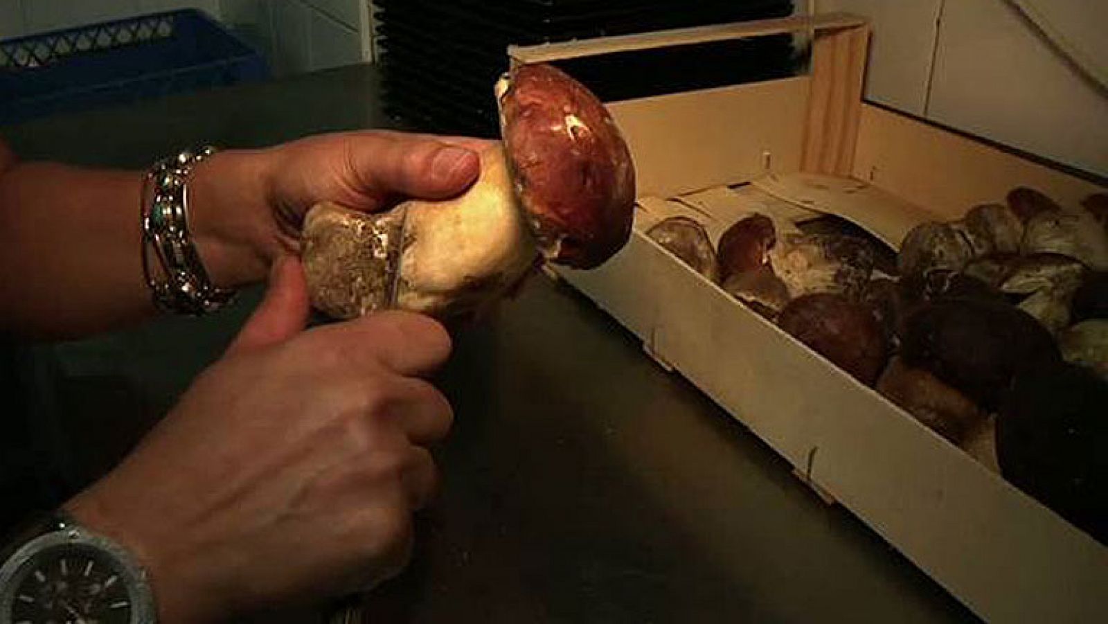 Conectando España - Puebla de Sanabria: Receta de rissotto con boletus