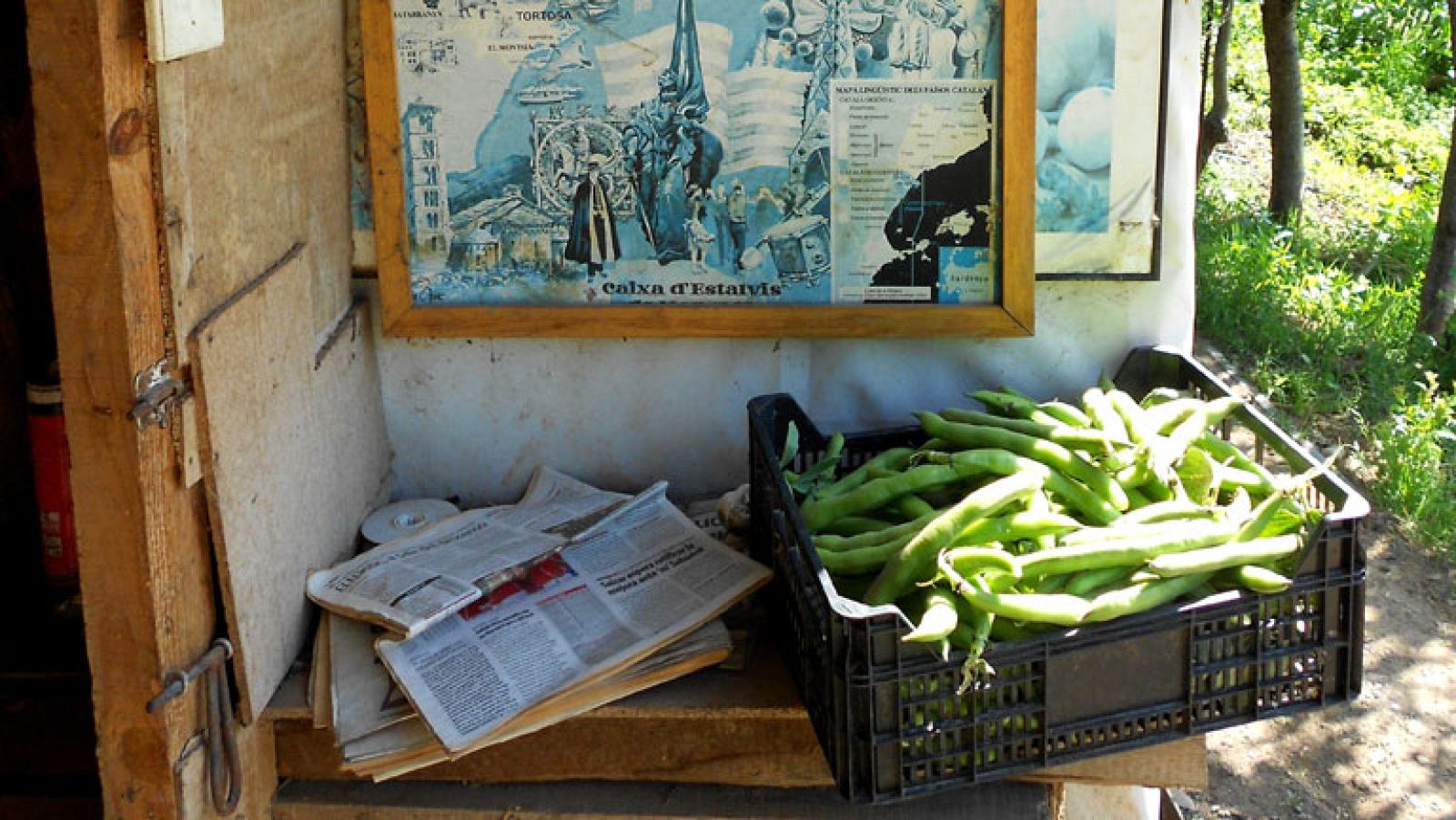 Conectando España - Súria: Fina cocina unas habas a la catalana