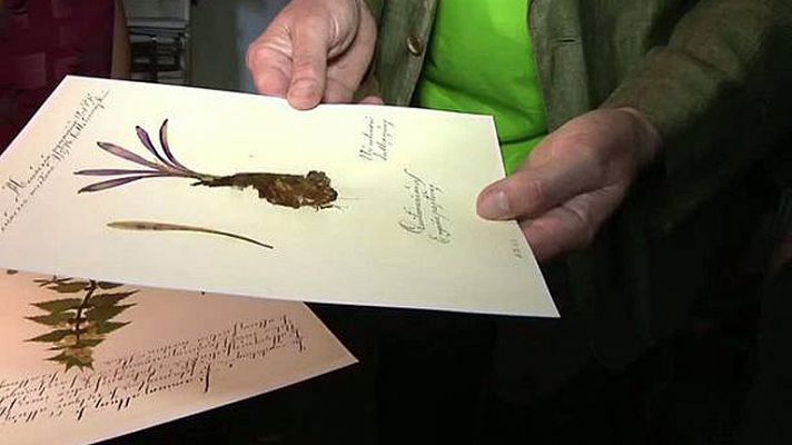 Conectando España - Puebla de Sanabria: Coleccionistas