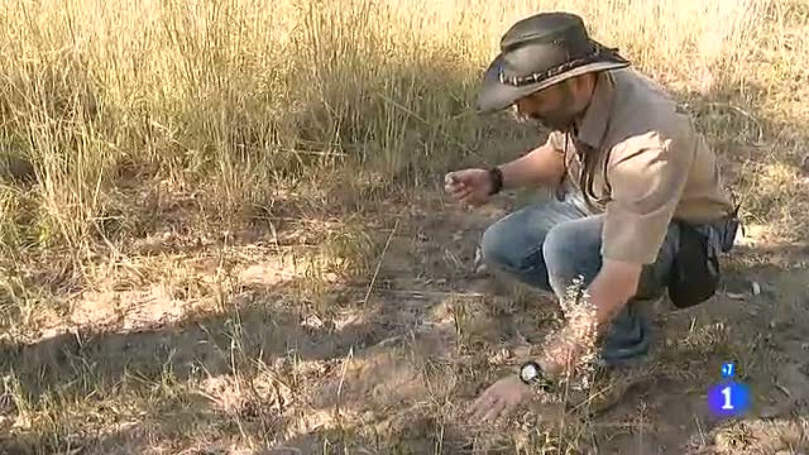 Españoles en el mundo - Zimbabue - Dani | Ver