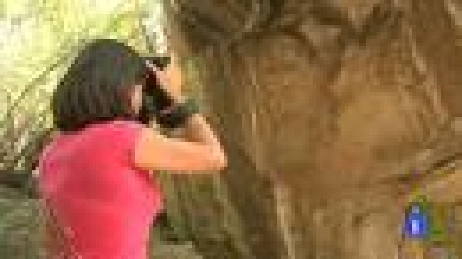 Españoles en el mundo - Zimbabue - Montse | Ver