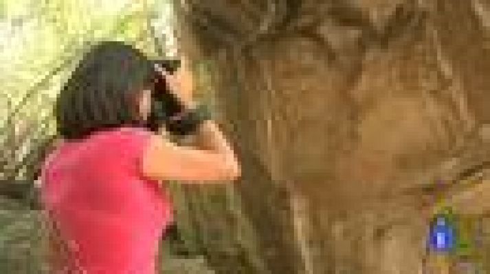 Españoles en el mundo - Zimbabue - Montse