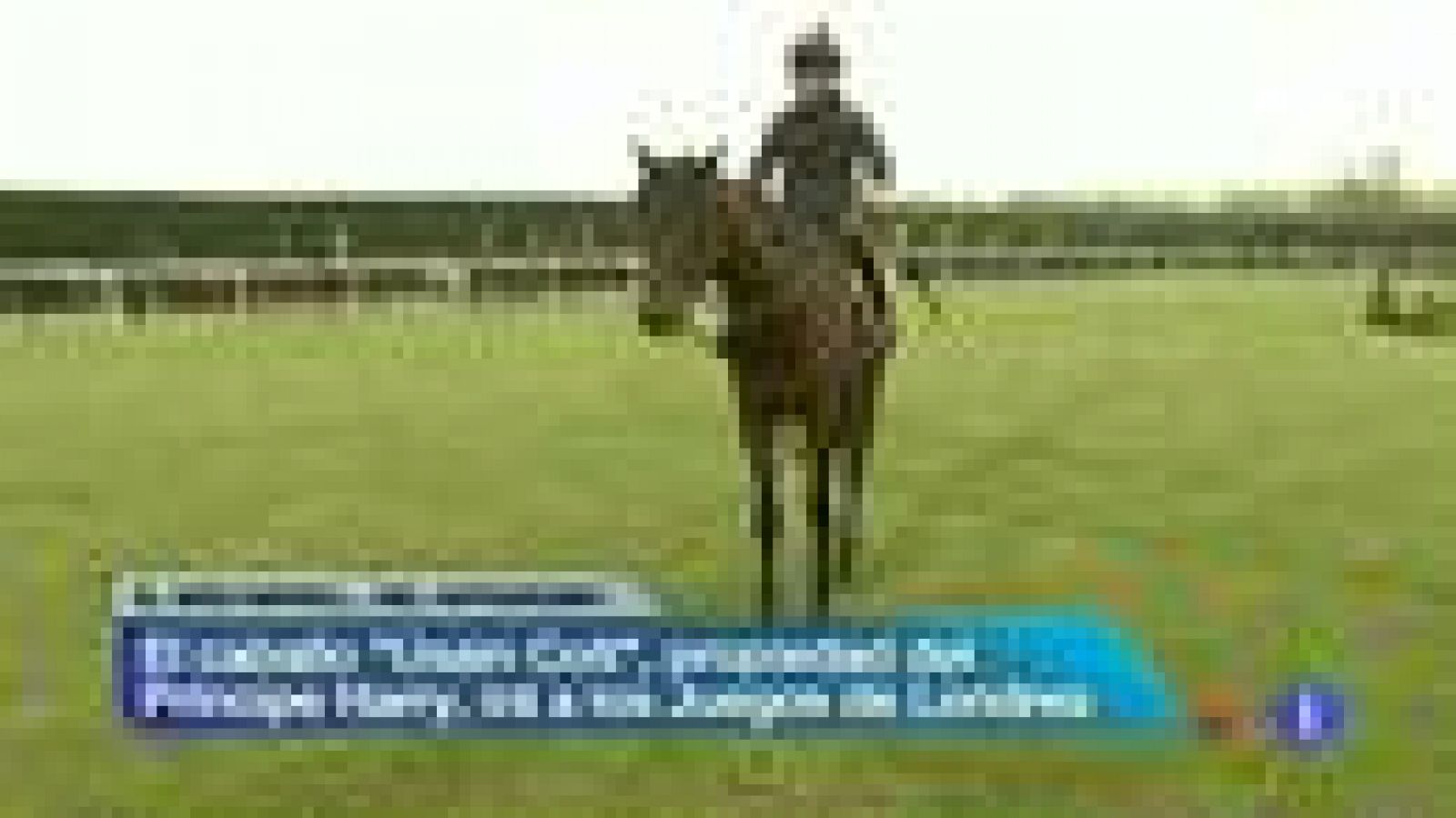 El caballo del príncipe Harry, 'Usain Colt', irá a los JJOO | Ver