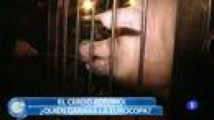 +Gente - Un cerdo predice la Eurocopa