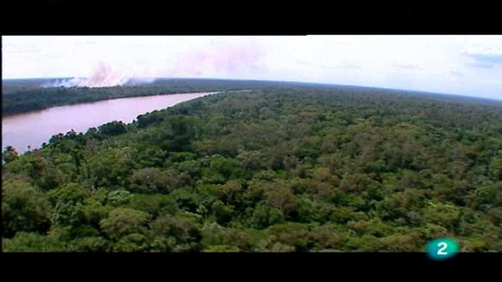 Amazonia. La última llamada - Biopiratería