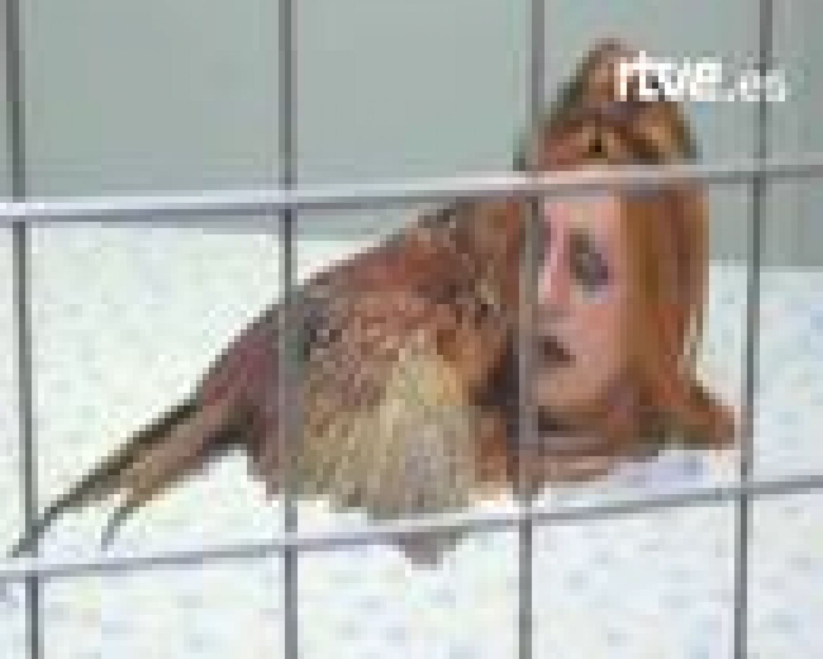 Imagen Sónar 2008 | Ver