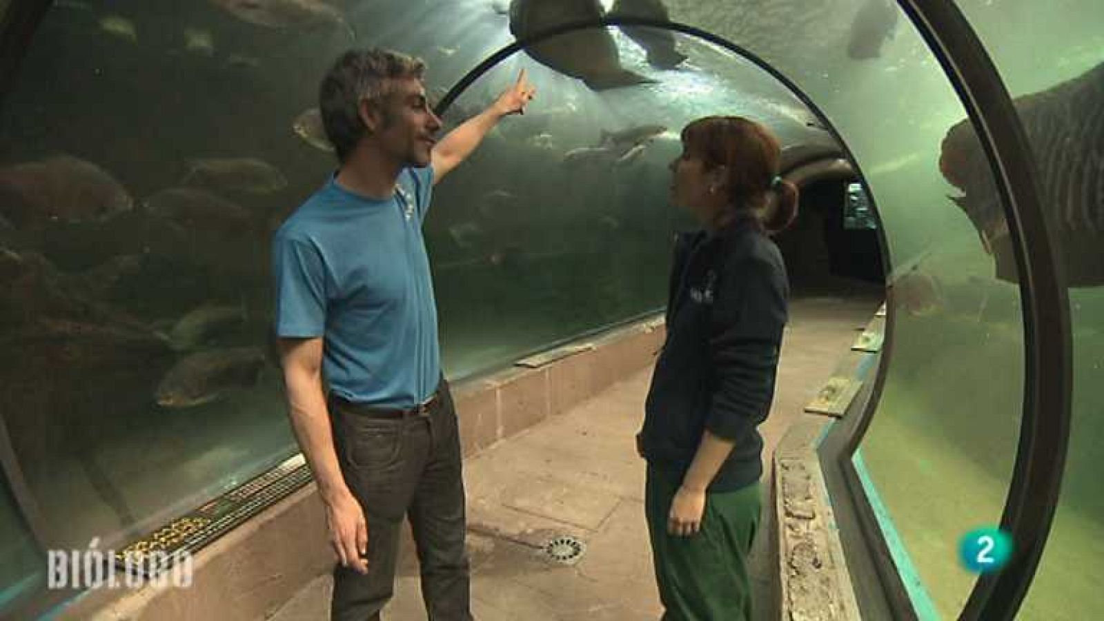 Los oficios de la cultura - Biólogo, Javier Gimeno - ver ahora