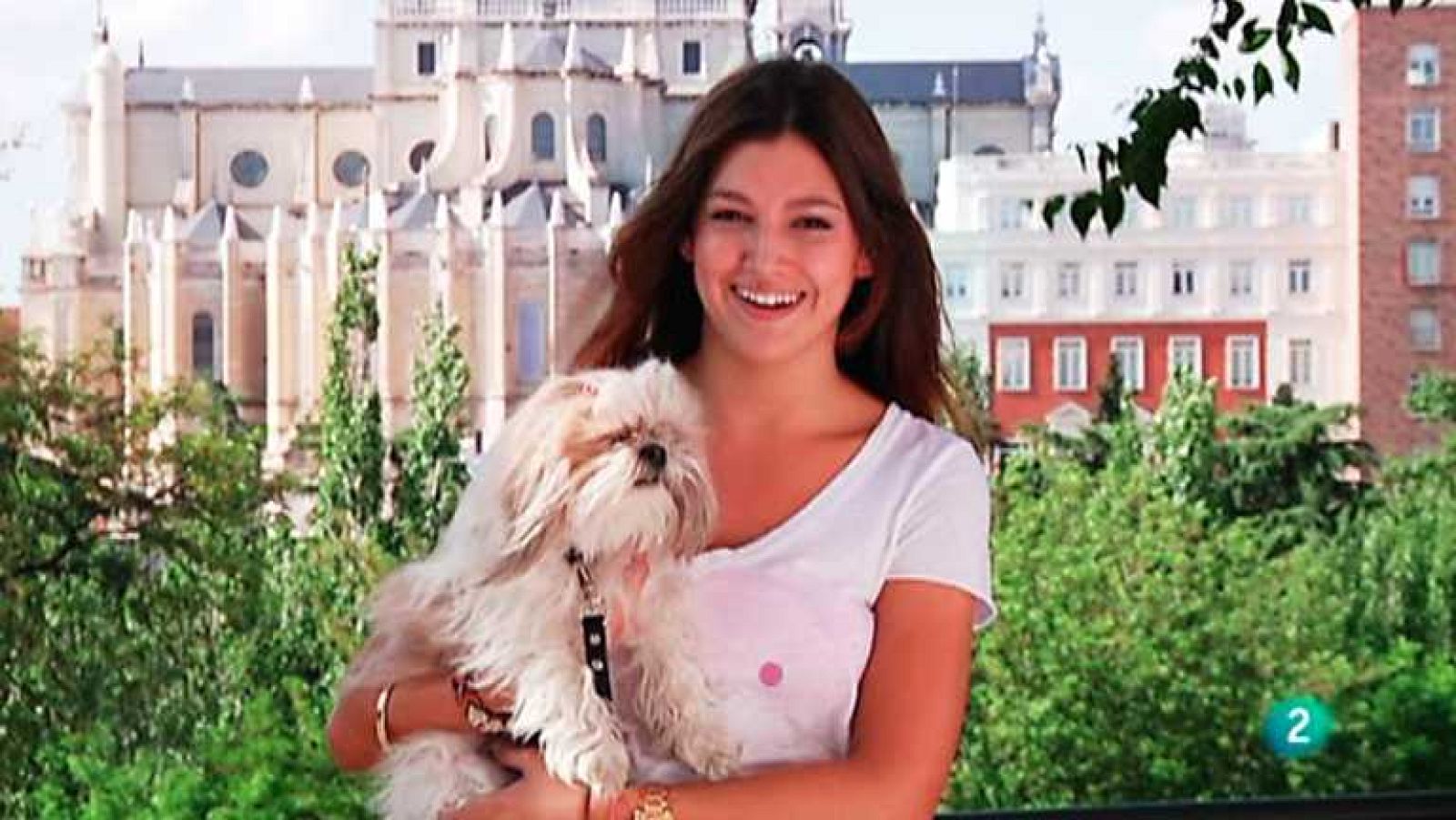 Más que perros y gatos - Capítulo 8 - Ver ahora