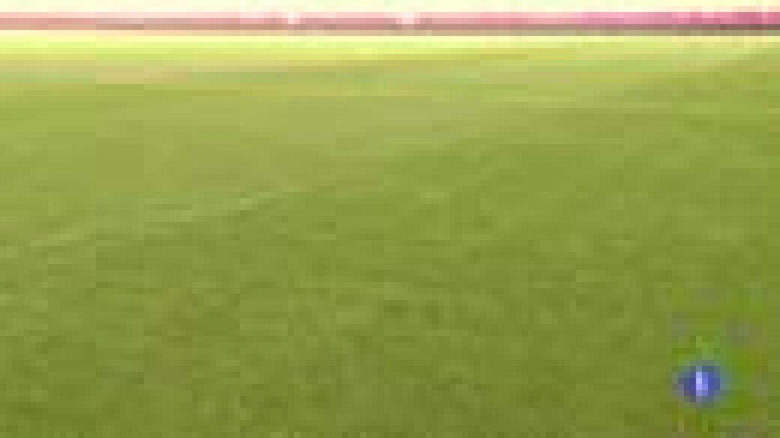 España se queja a la UEFA del césped del Gdansk Arena | Ver