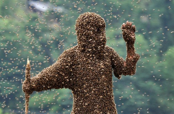 On Off : El hombre abeja