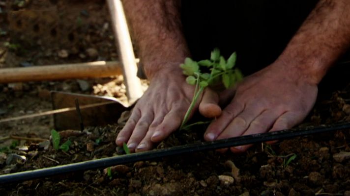 El siglo XXI según Poblet - Avance