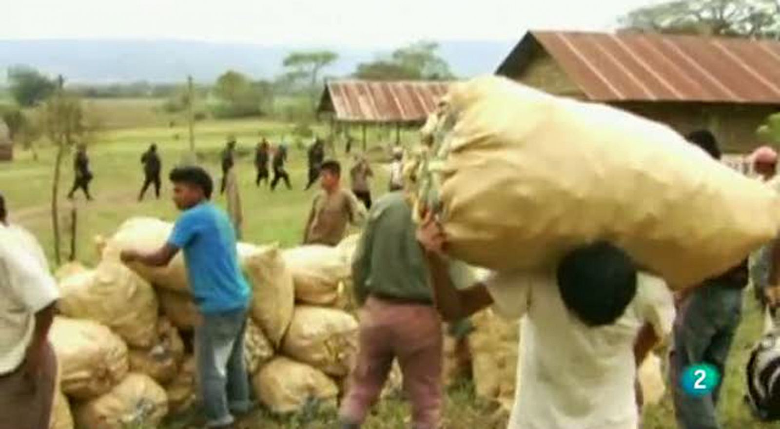 BIOCOMBUSTIBLES, ENEMIGOS DE LOSINDÍGENAS DE GUATEMALA