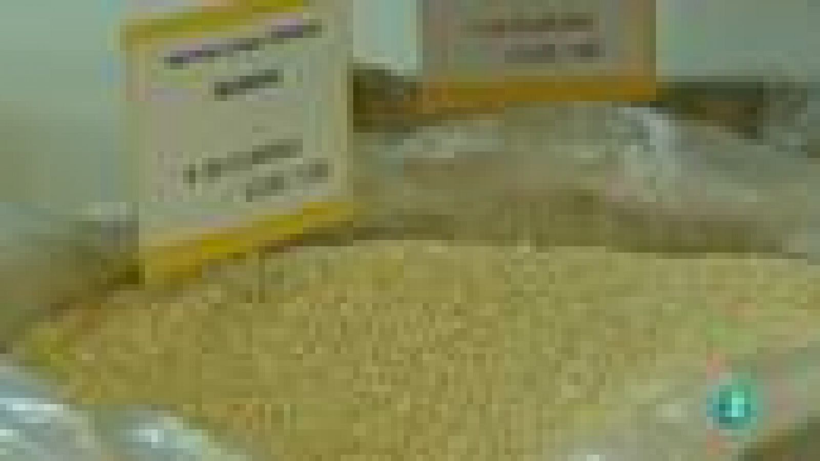 Para Todos la 2 - Nutrición: La Avena