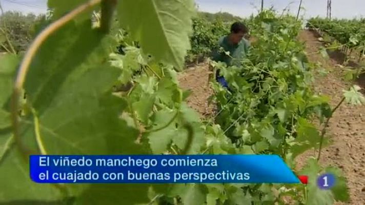 Noticias de Castilla-La Mancha - Noticias Castilla La Mancha en 2' (13/06/2012)