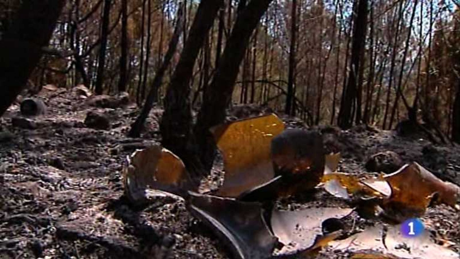 La Comunidad Valenciana en 2' - 14/06/12 - Ver ahora