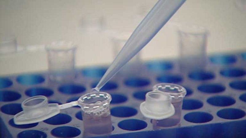 Células madre revividas 