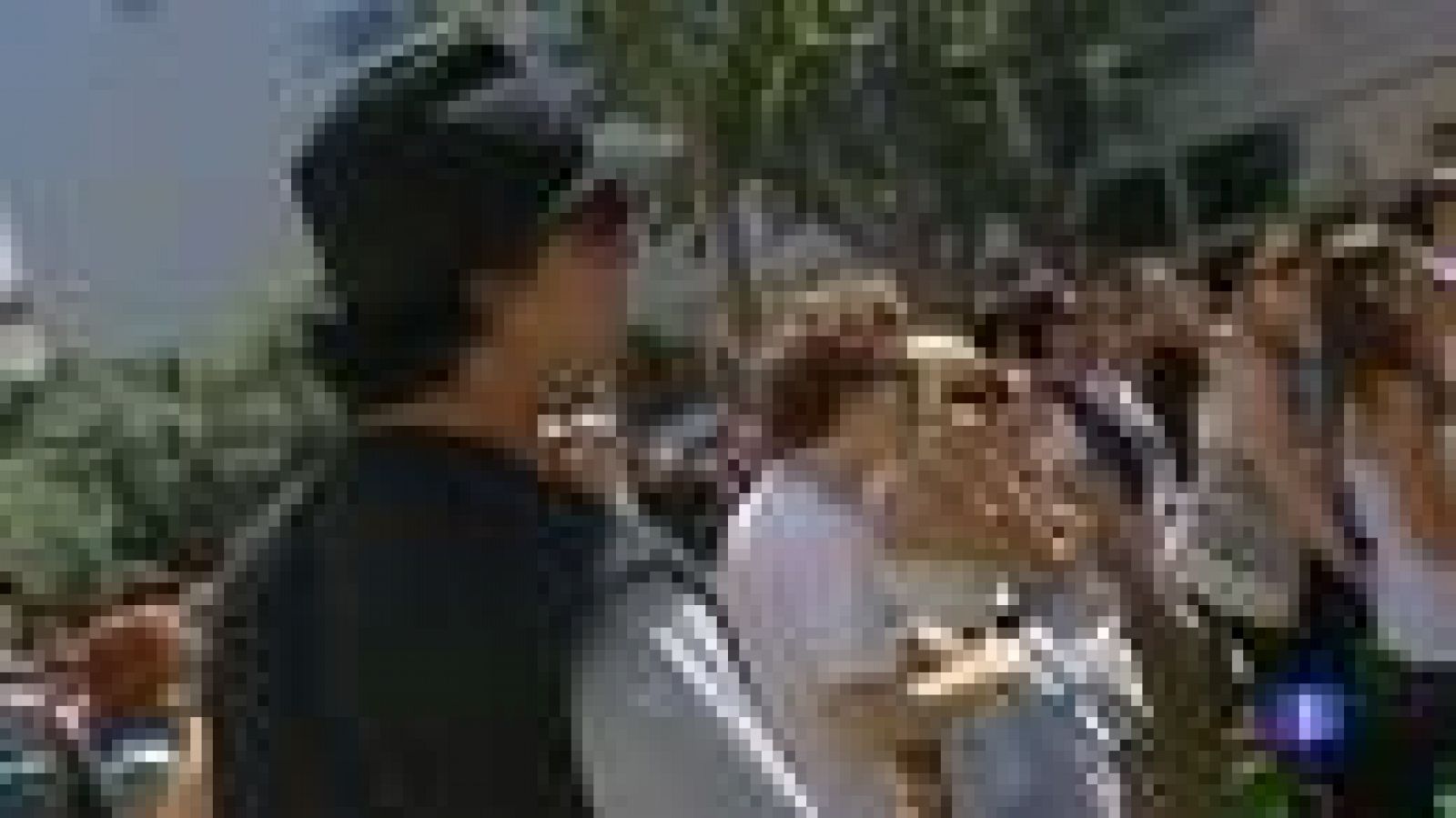 El Sónar y sus incondicionales han aterrizado en Barcelona con gran fuerza