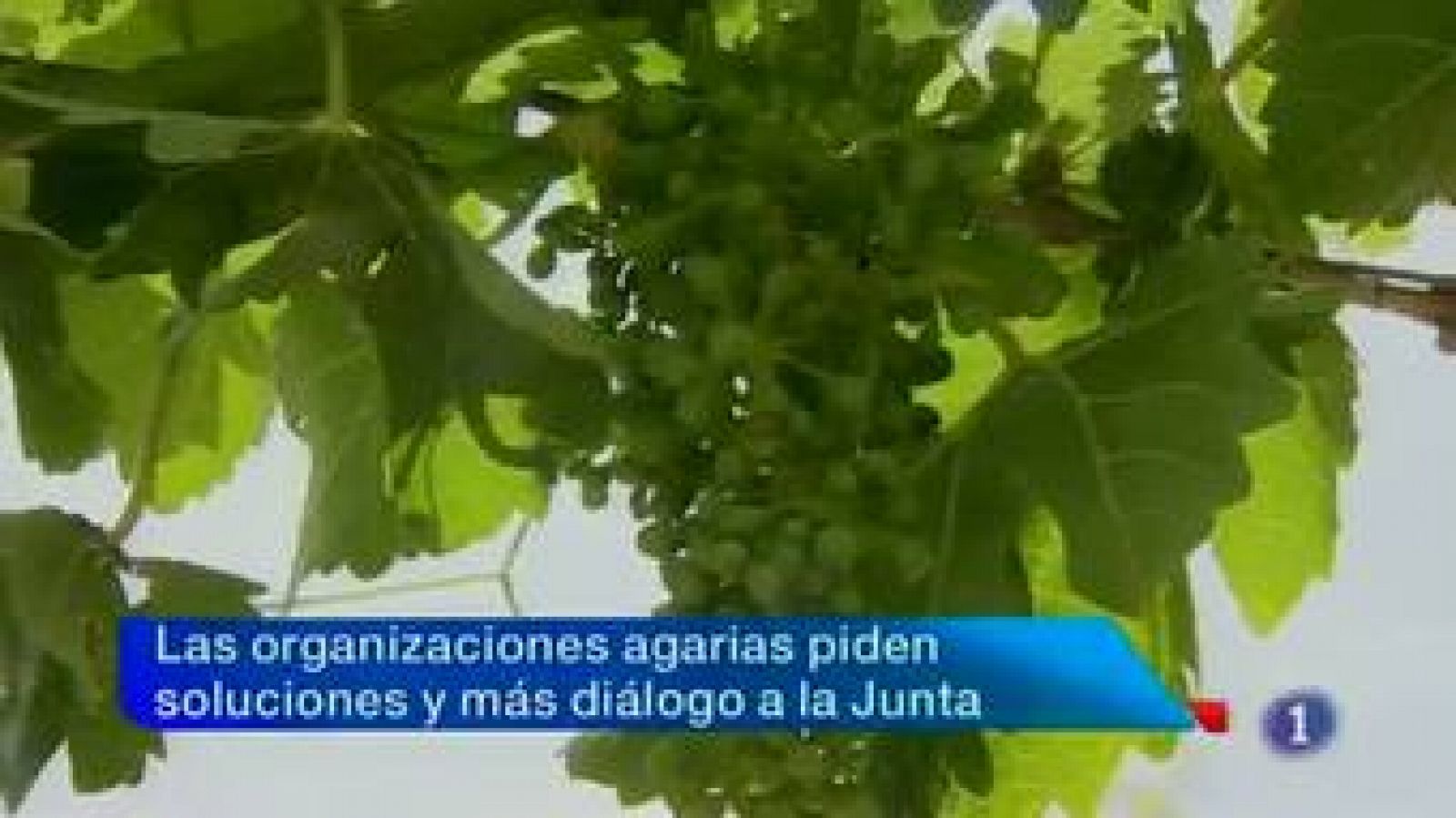 Noticias de Castilla-La Mancha: Noticias de Castilla La Mancha (15/06/2012) | RTVE Play