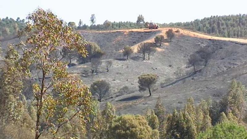 El incendio ha afectado a 270 hectáreas de pastos, matorrales y eucaliptos