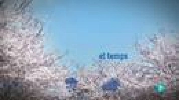 L'Informatiu - El Temps Cap de Setmana - 08/06/2012