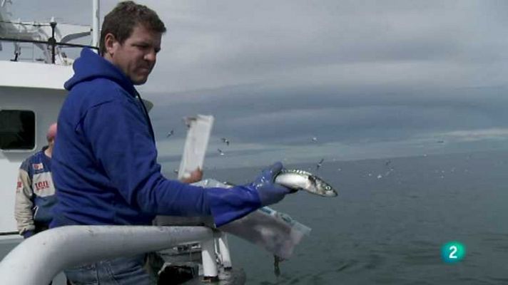 Biodiario - Biodiario - 18/06/12