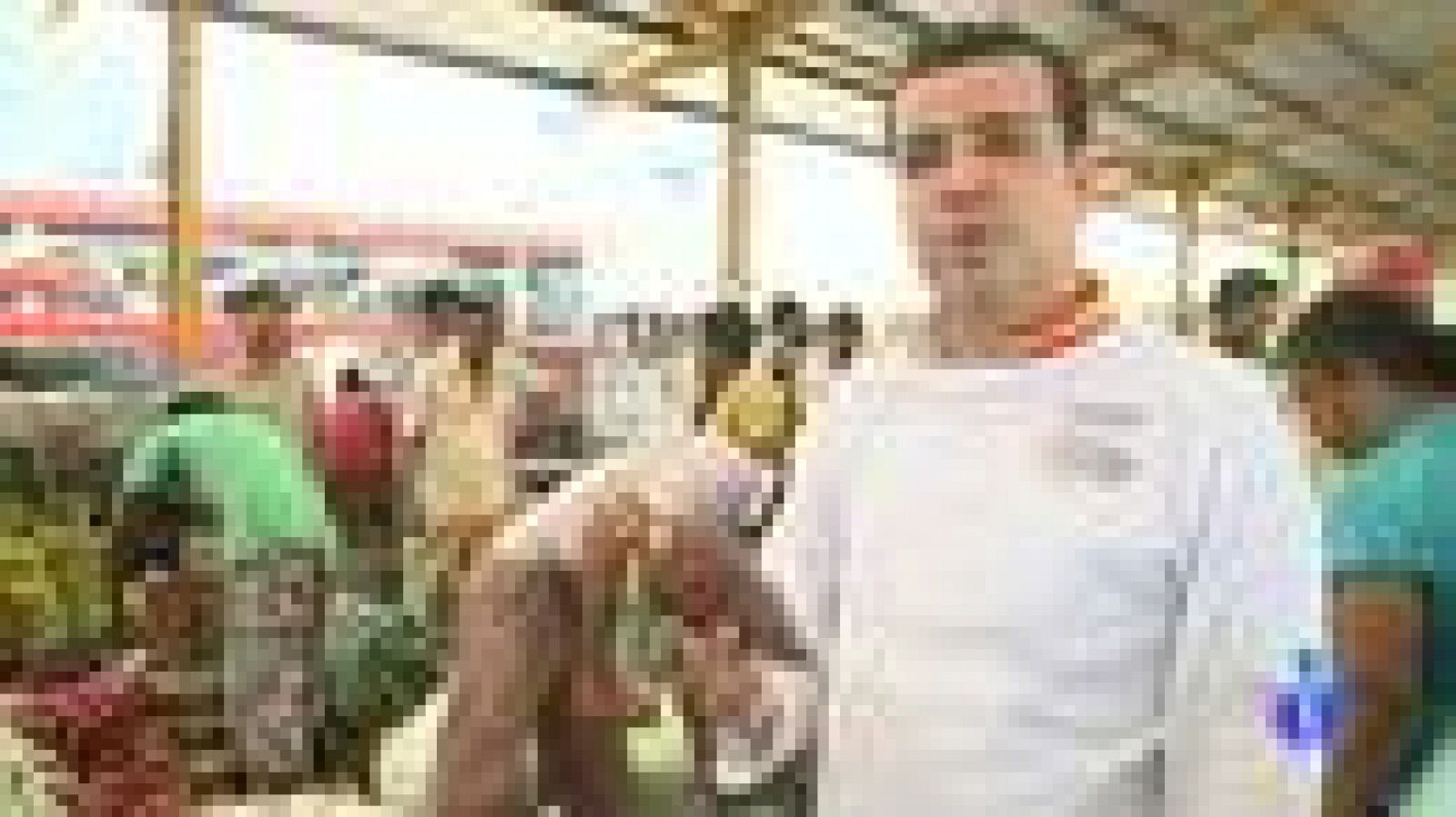 Españoles en el mundo - Sri Lanka - Chema | Ver