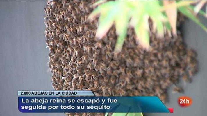 España en 24h - España en 24 horas - 20/06/12