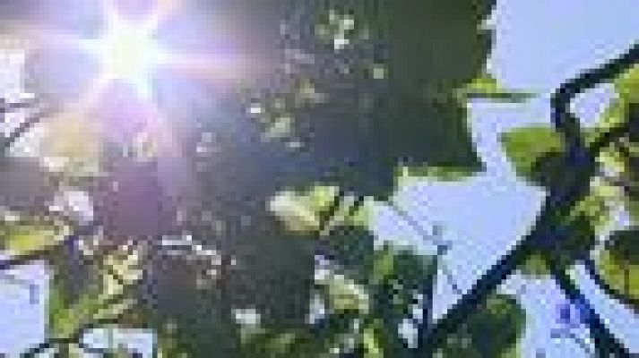 Telediario 1 - Verano seco y caluroso