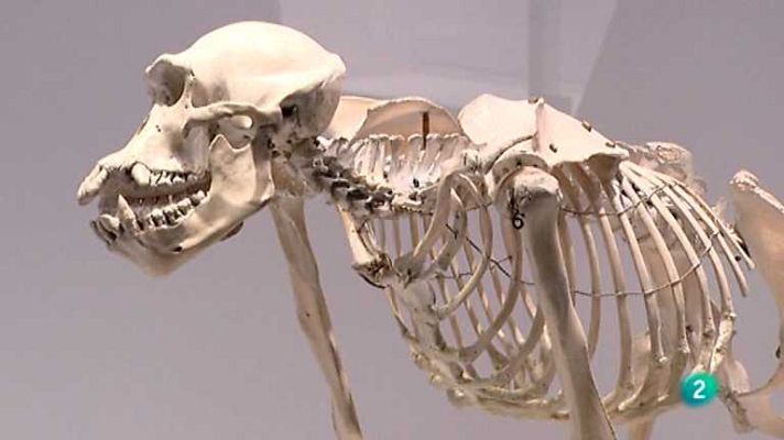 La aventura del Saber - La aventura del saber - 21/06/12