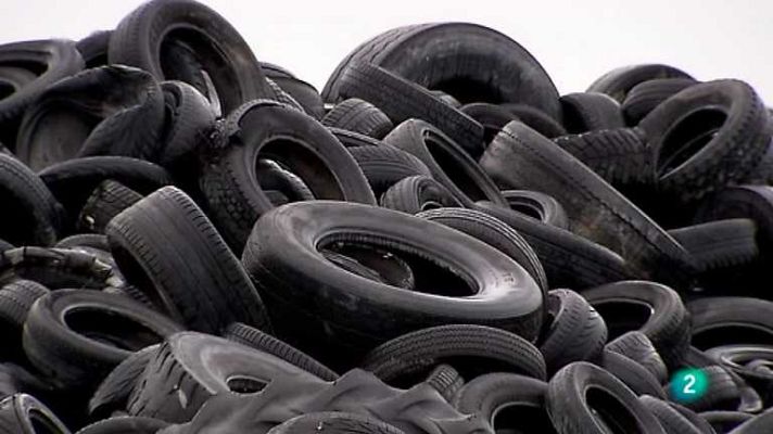 Biodiario - Biodiario - 21/06/12