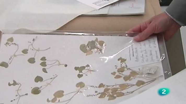 España en comunidad - El herbario de Jaca