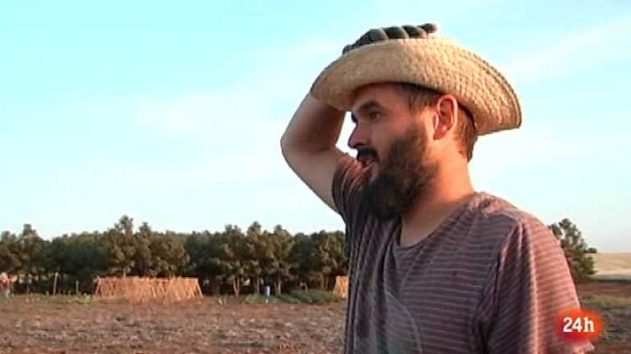 Repor - Volver a la tierra