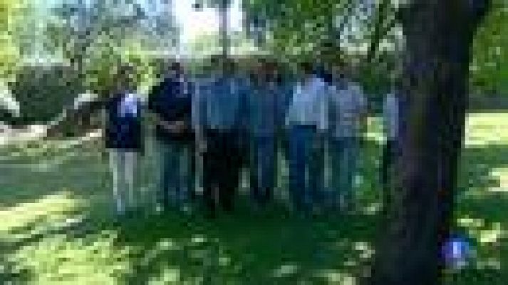 Telediario 1 - Recurso del PSOE contra la amnistía