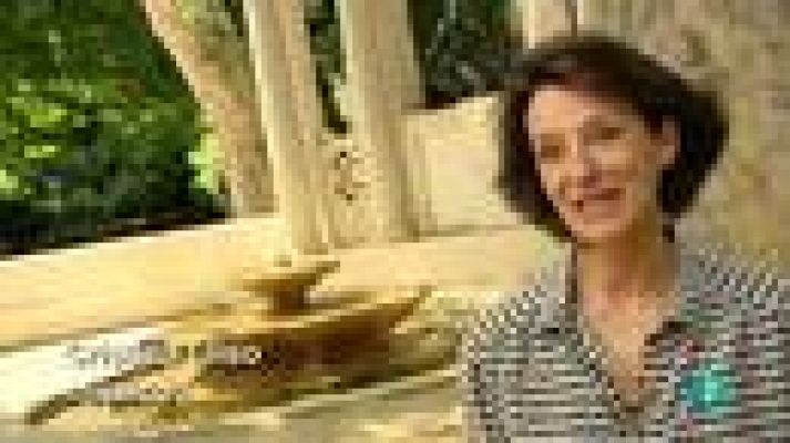 Miradas 2 - Cristina Lliso