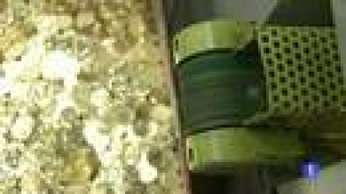 Telediario 1 - Petición de asistencia financiera