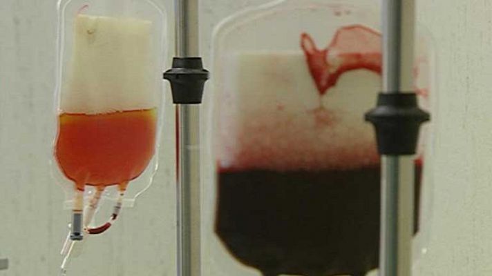 Telediario 1 - ¿El colesterol o las células madre?