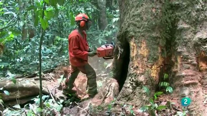 La aventura del Saber - Programa Bosques WWF