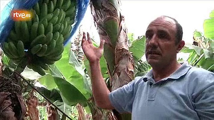 Conectando España - Buenavista del Norte - Elaboración