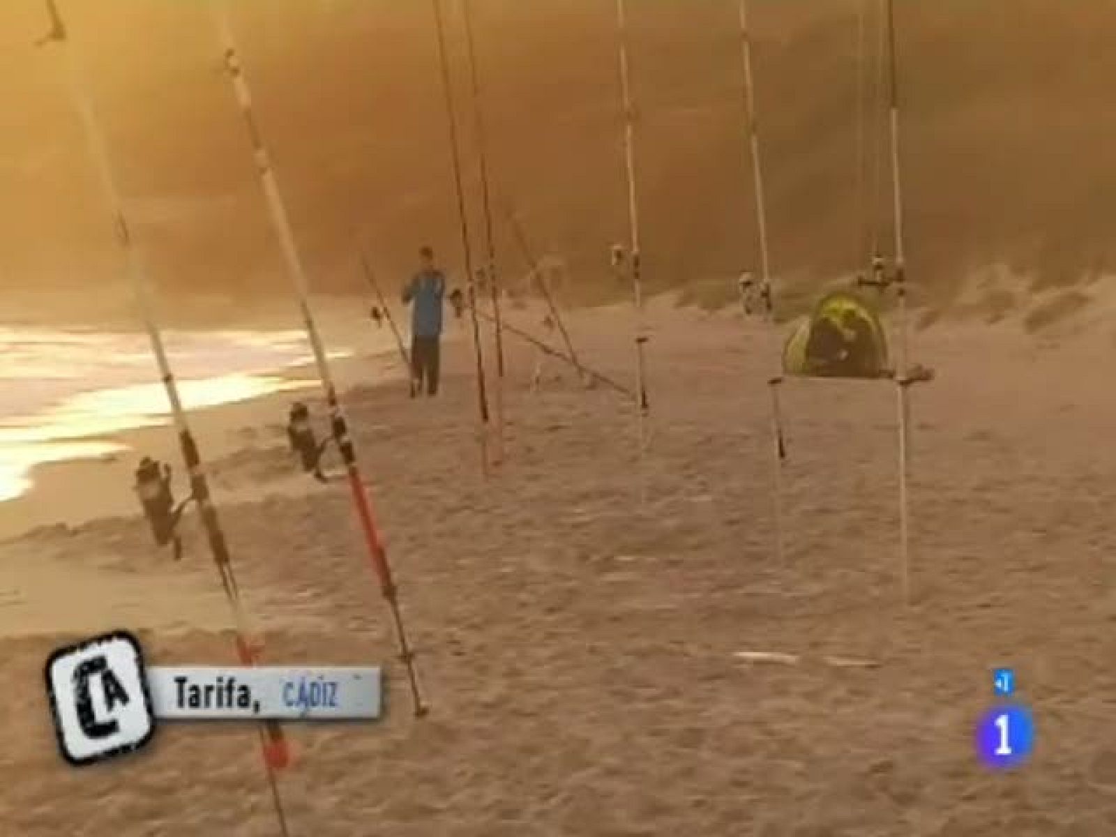 Mi playa favorita - Tarifa - Comando Actualidad | Ver