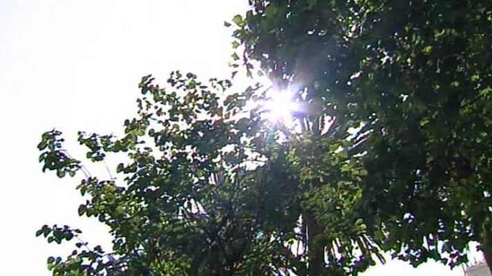 El tiempo - Temperaturas altas