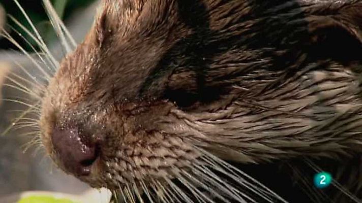 Biodiario - Biodiario - 28/06/12